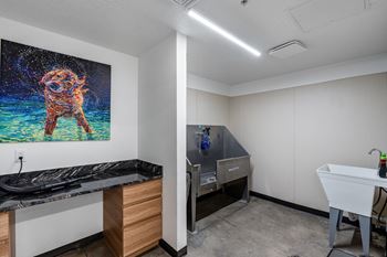 Dog wash station